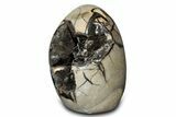 Free-Standing, Polished Septarian Geode - Black Crystals #302870-2